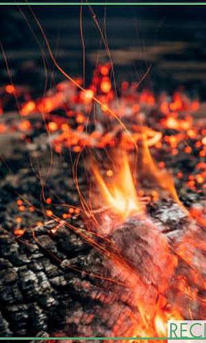 Descarte de documentos empresariais Descarte de documentos empresariais