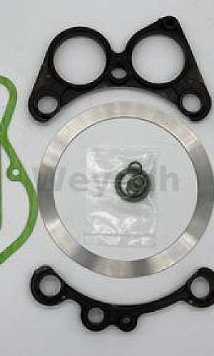 purificador de biogás purificador de biogás